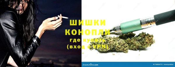 ПСИЛОЦИБИНОВЫЕ ГРИБЫ Алексеевка