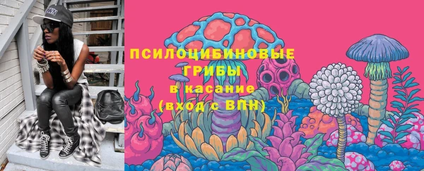 ПСИЛОЦИБИНОВЫЕ ГРИБЫ Алзамай