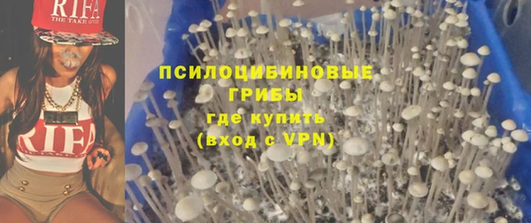 ПСИЛОЦИБИНОВЫЕ ГРИБЫ Алексеевка