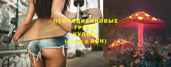 ПСИЛОЦИБИНОВЫЕ ГРИБЫ Алексеевка